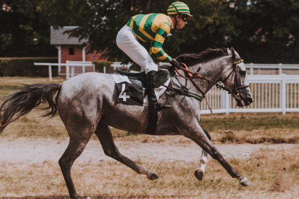 horse racing