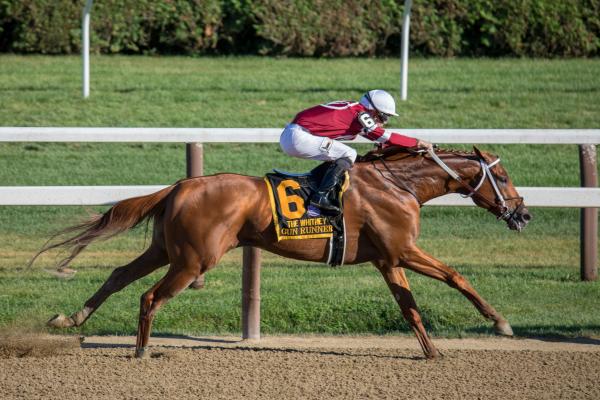 horse racing