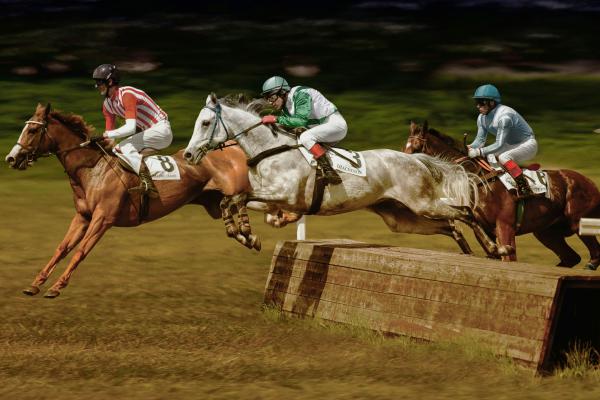 horses jumping