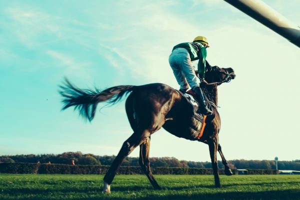 horse running