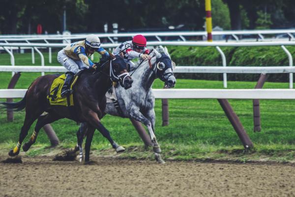 horses racing