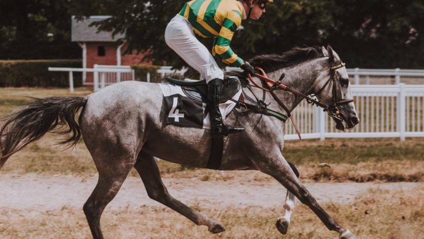 horse racing