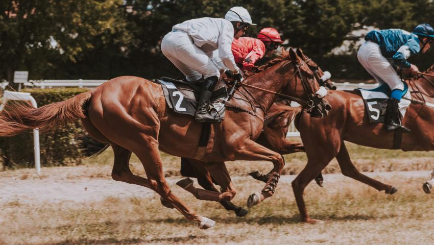 horses racing