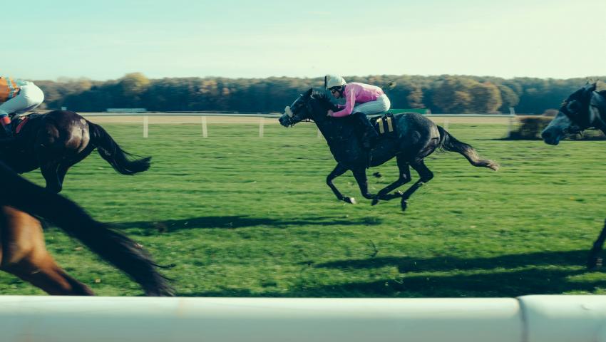 horse racing