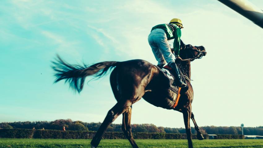 horse running